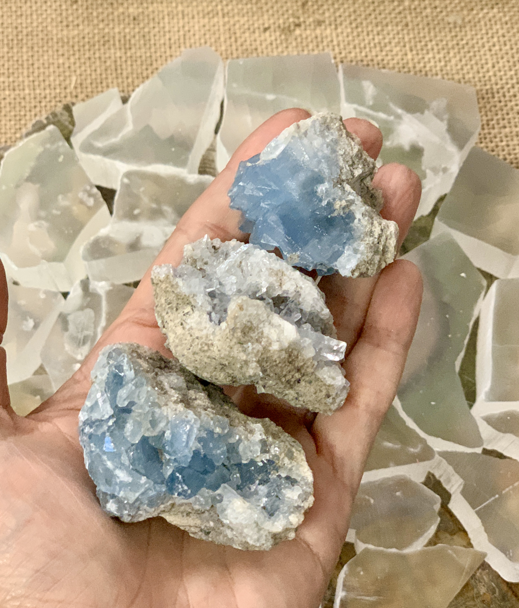 Celestite Clusters