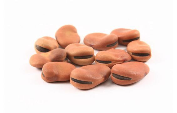Fava Beans, Dried (Mojo Beans)