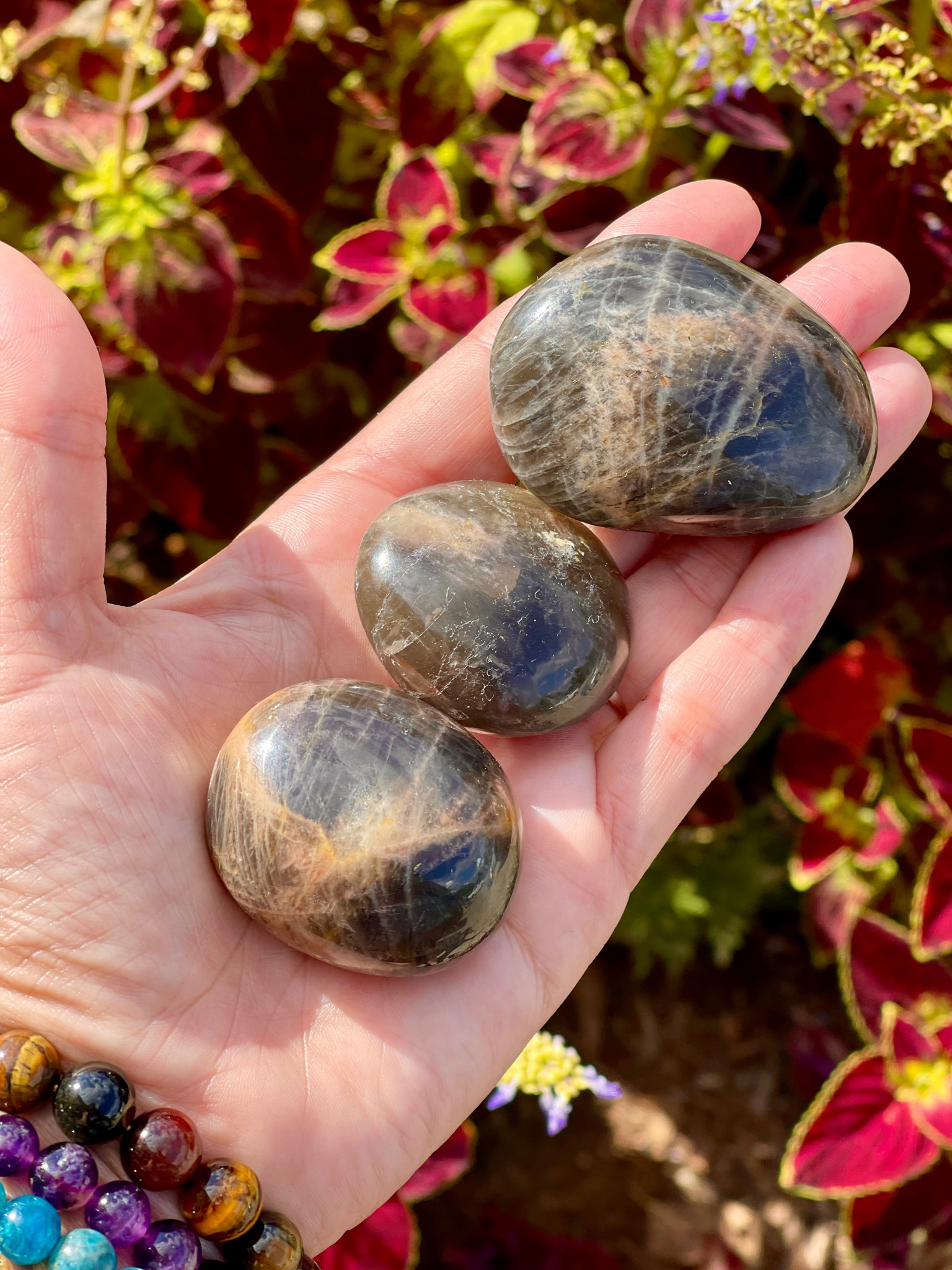 Black Moonstone Palm Stones