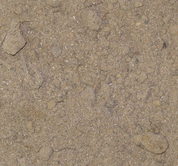 Graveyard Dirt