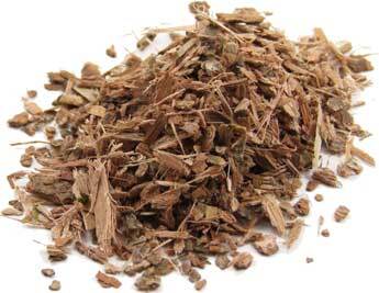 Witch Hazel Bark