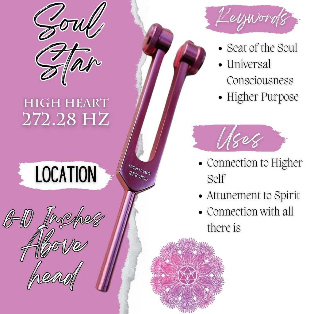 Chakra Weighted Tuning Forks Set
