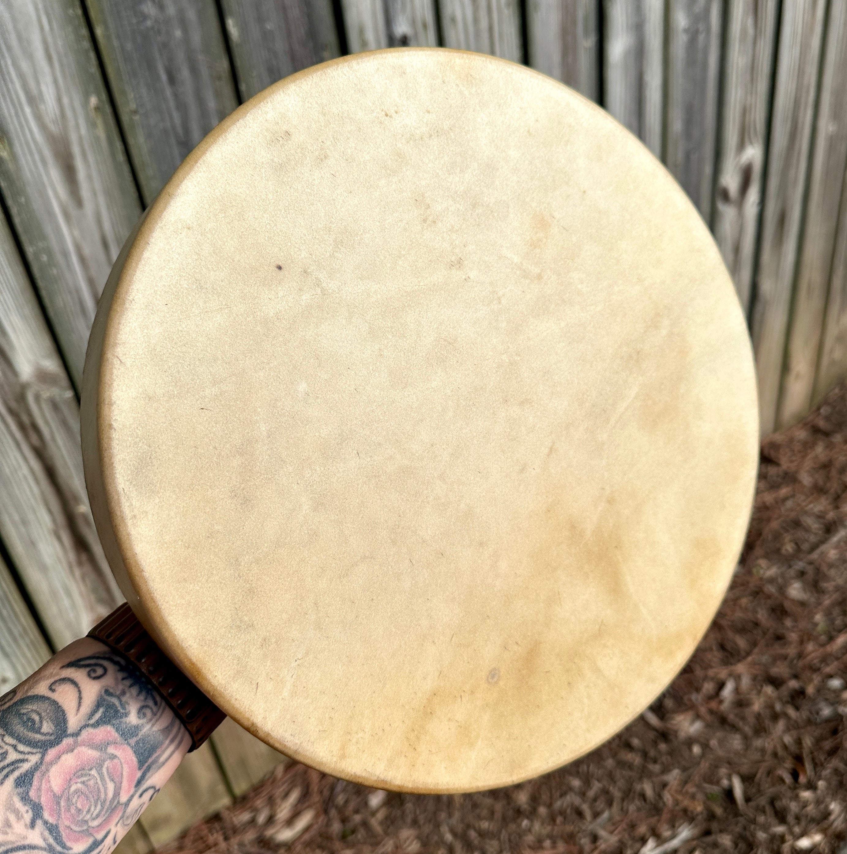 12" Elk Hide Drum