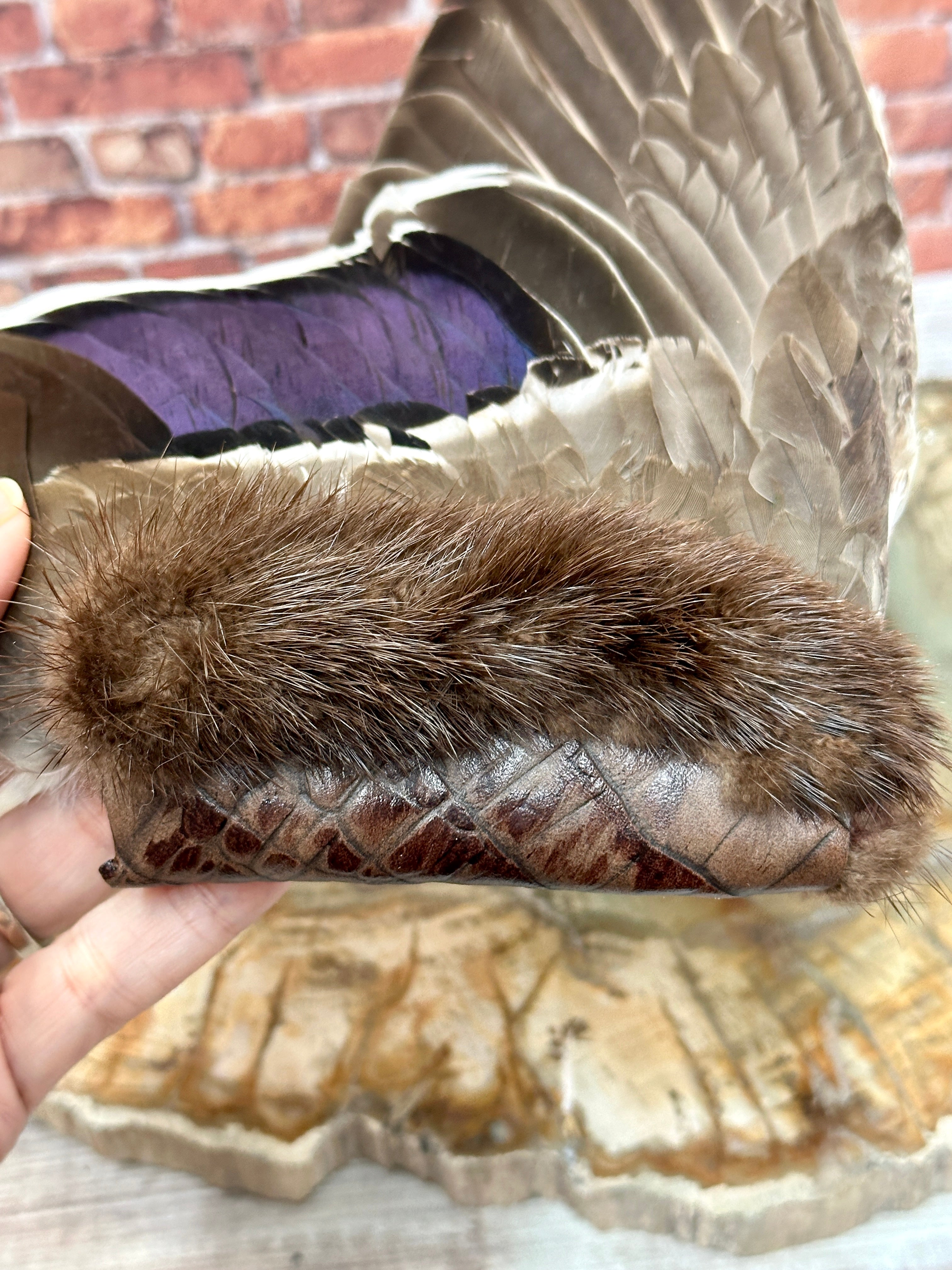 Lineage, Mallard Medicine Fan