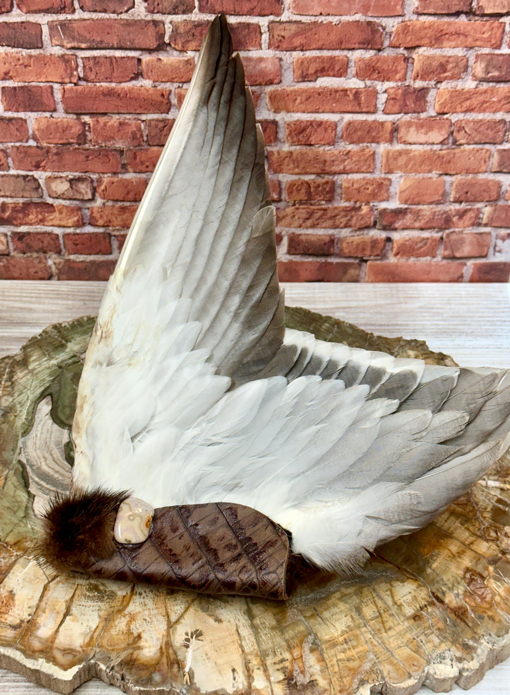 Lineage, Mallard Medicine Fan