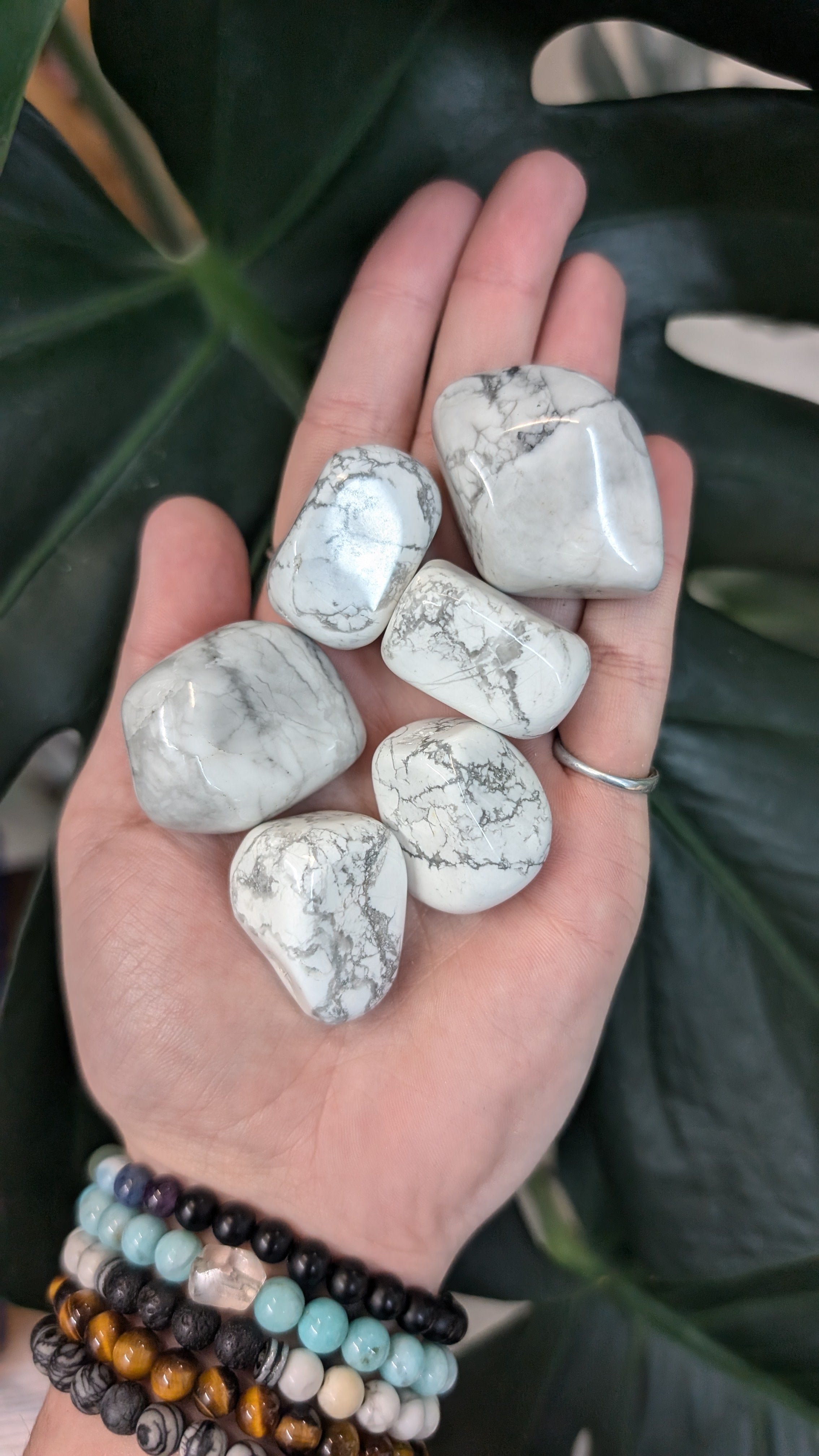 Howlite, Tumbled