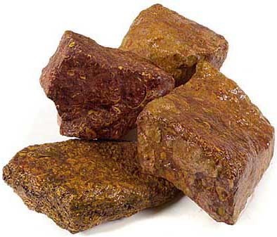 Script Stone (Sea Fossil Jasper), Natural