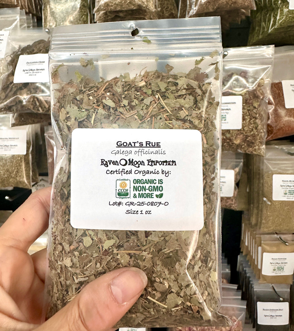 Goat's Rue (Organic)