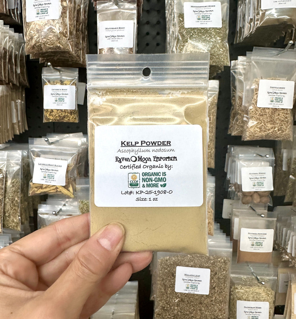 Kelp Powder (Organic)