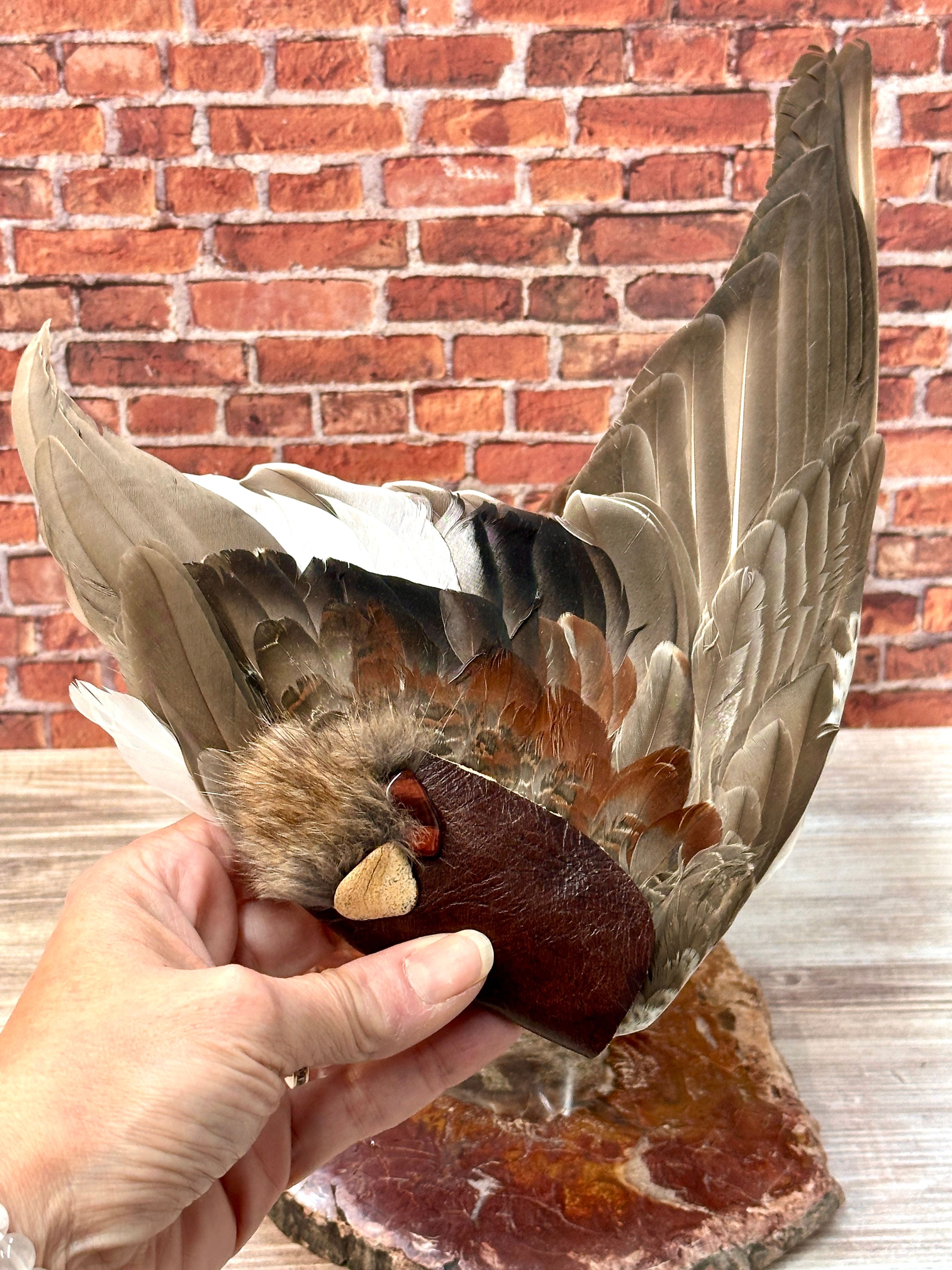 Simplicity, Mallard Medicine Fan