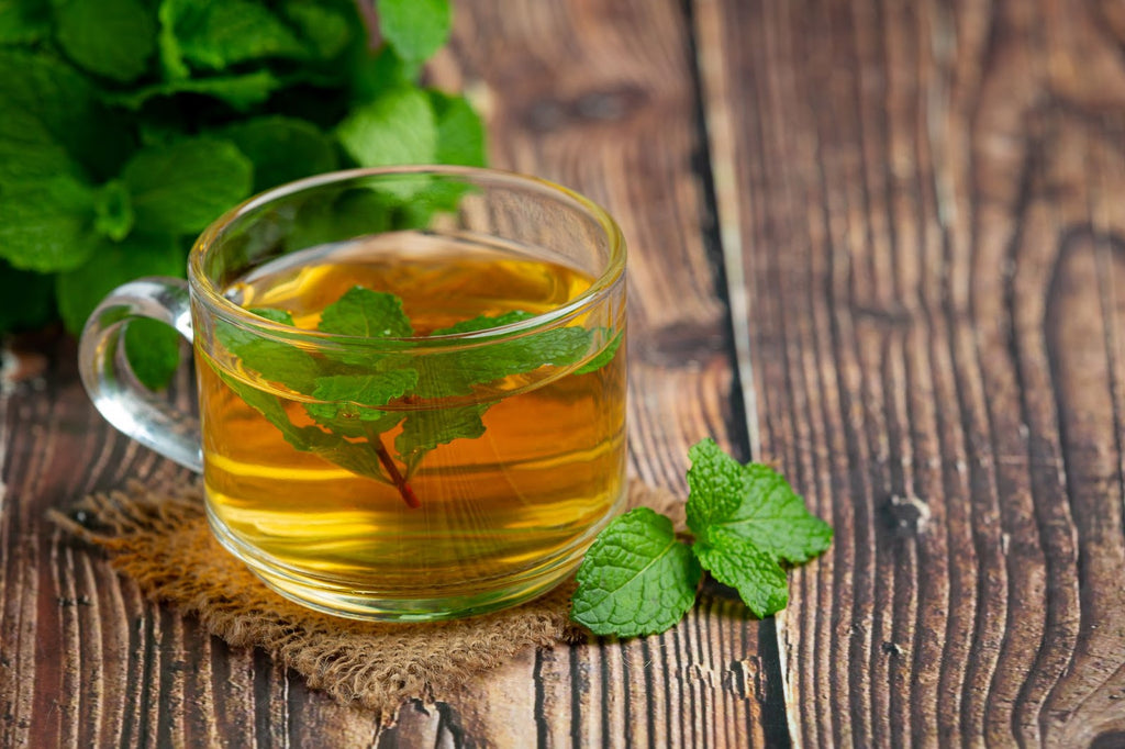Spearmint Tea Bags, Organic
