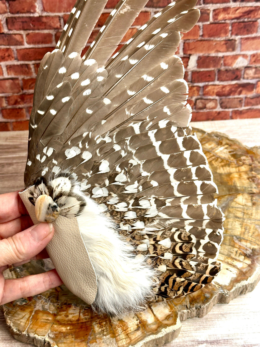 Foresight, Grouse Medicine Fan