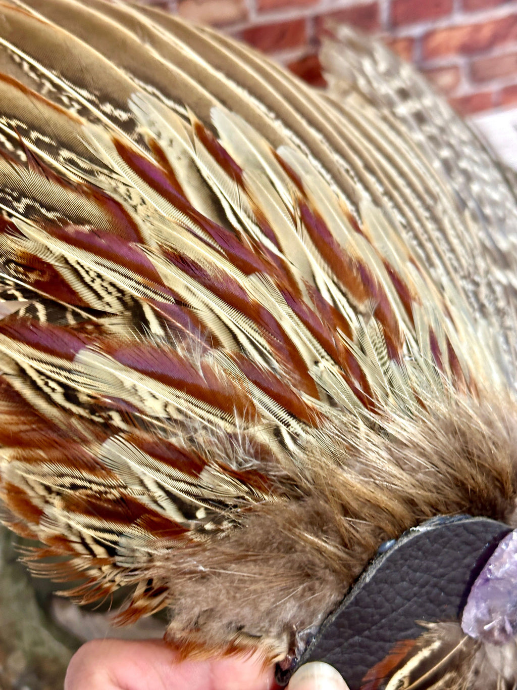Ether, Pheasant Medicine Fan
