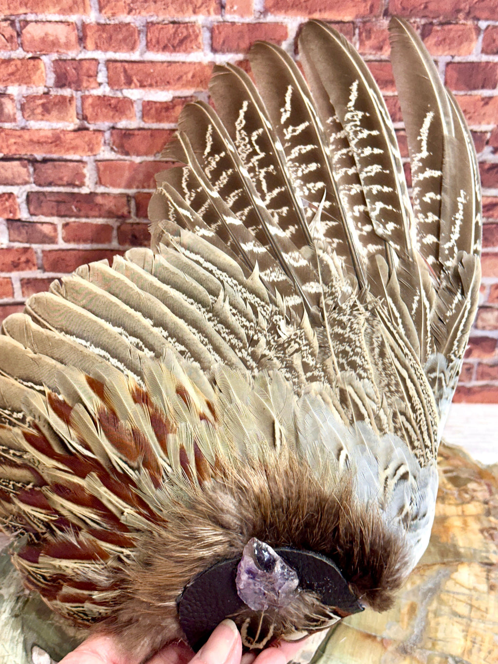 Ether, Pheasant Medicine Fan