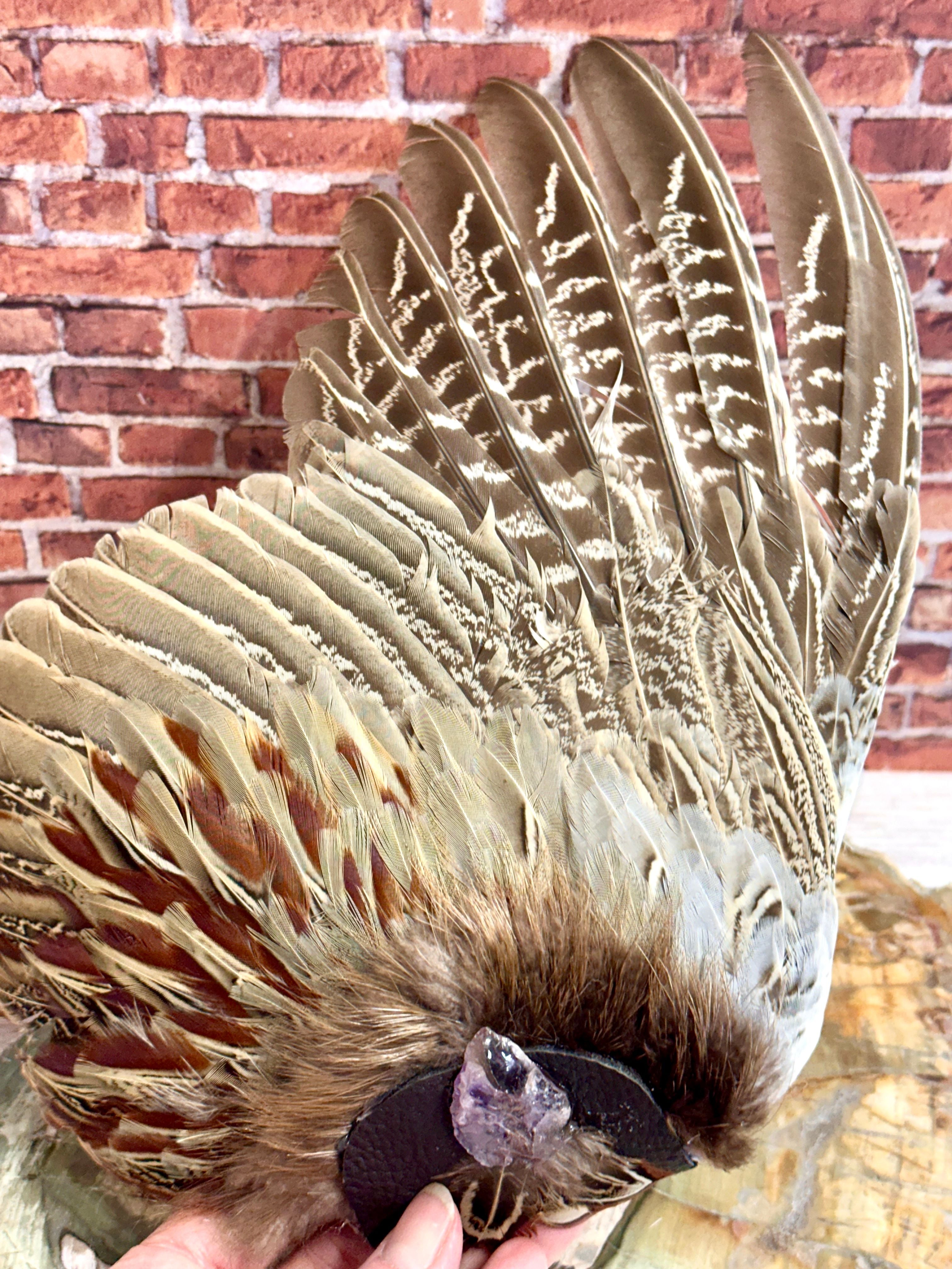 Ether, Pheasant Medicine Fan