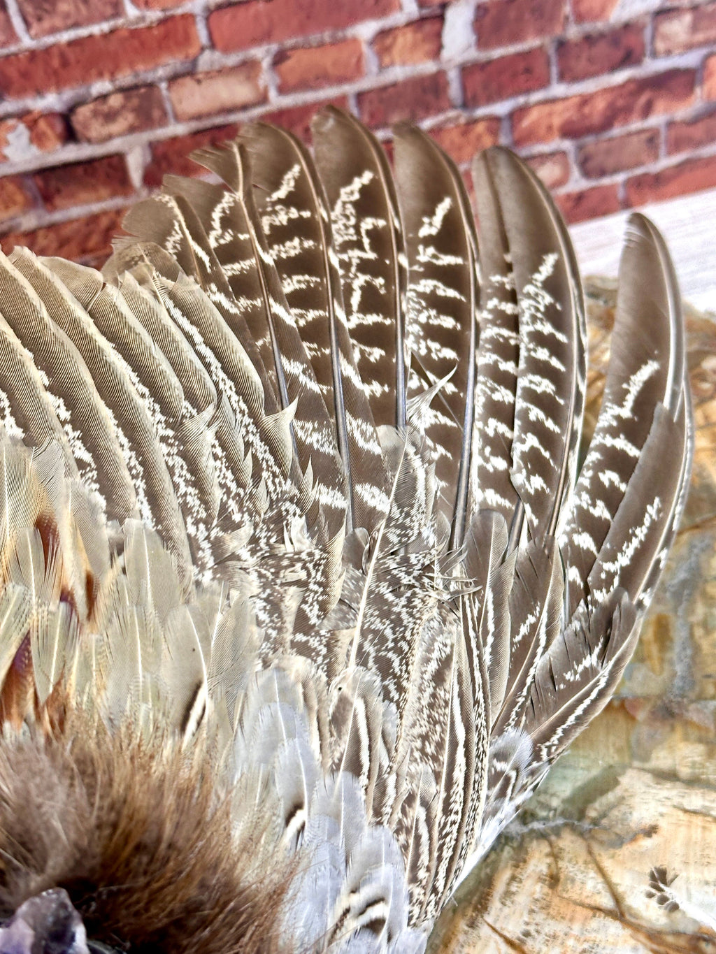 Ether, Pheasant Medicine Fan