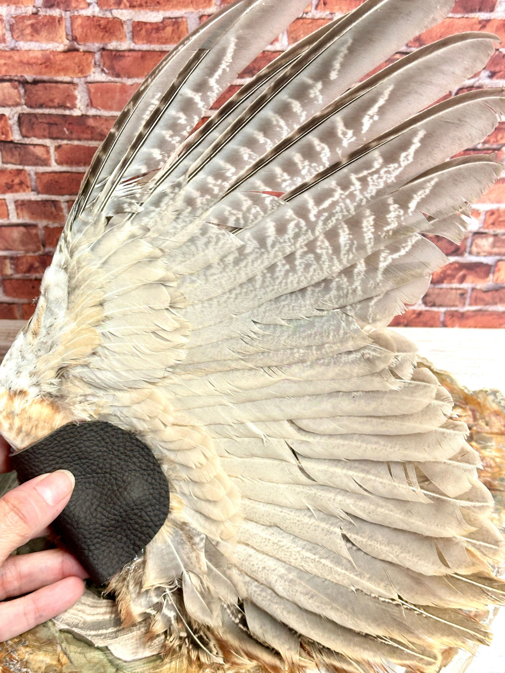 Ether, Pheasant Medicine Fan