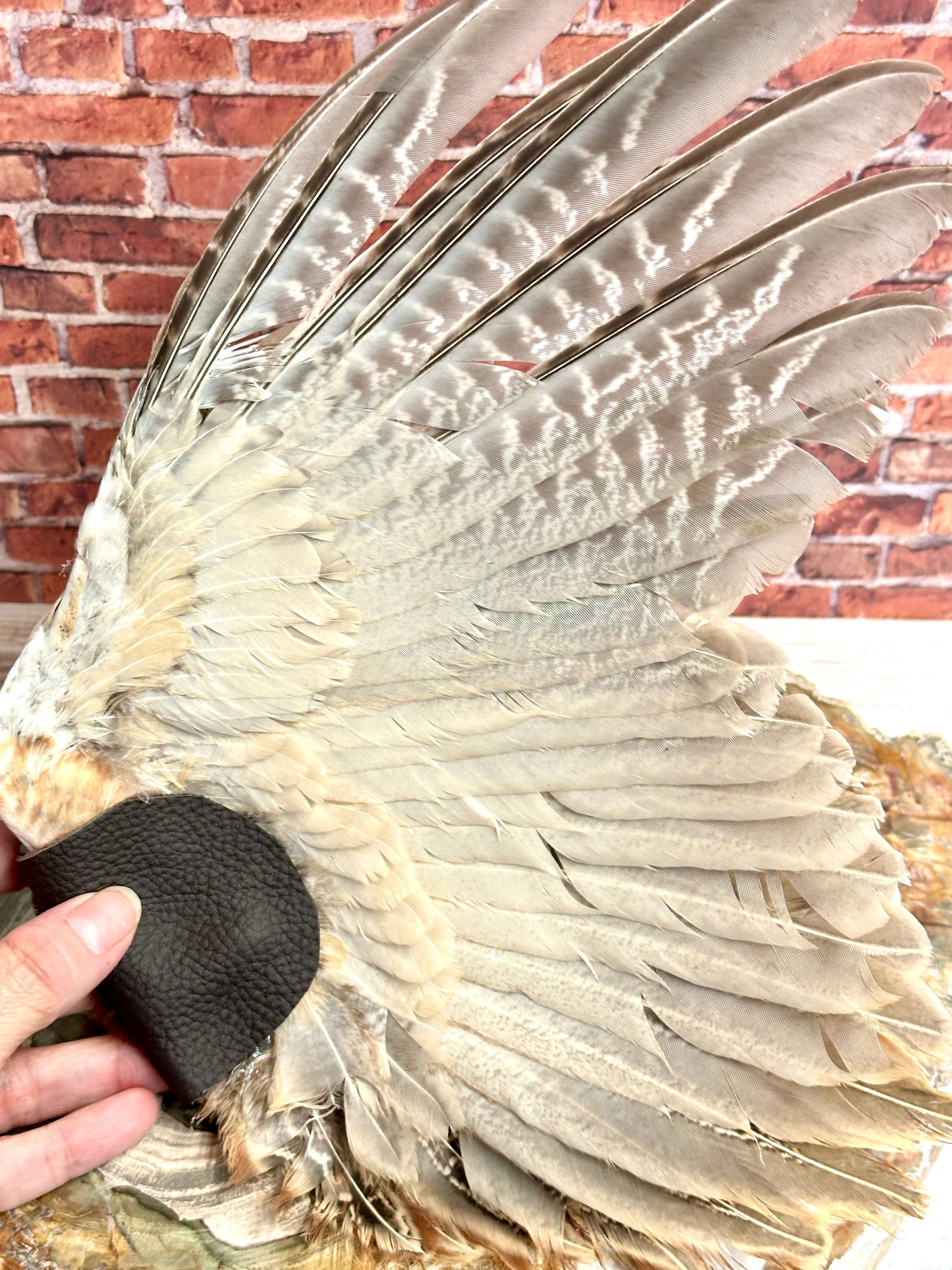 Ether, Pheasant Medicine Fan