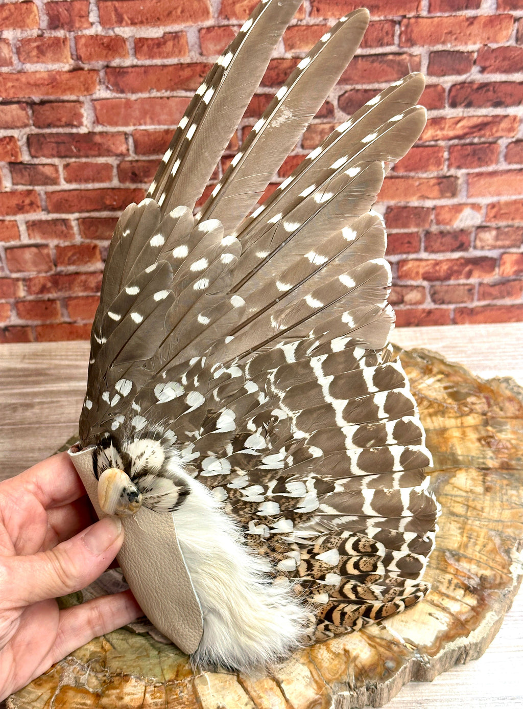 Foresight, Grouse Medicine Fan