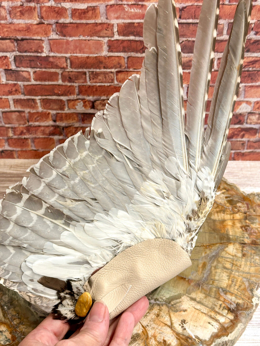 Foresight, Grouse Medicine Fan