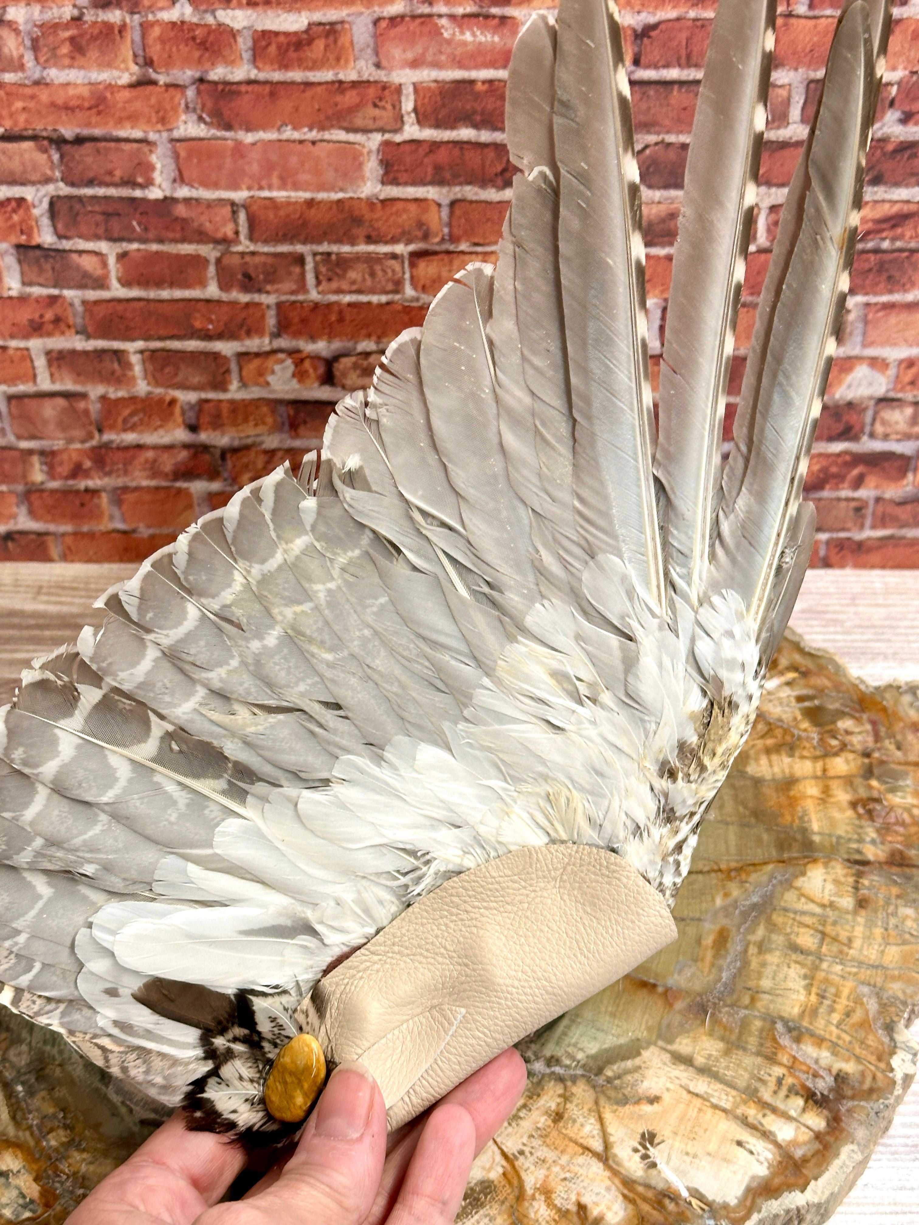 Foresight, Grouse Medicine Fan
