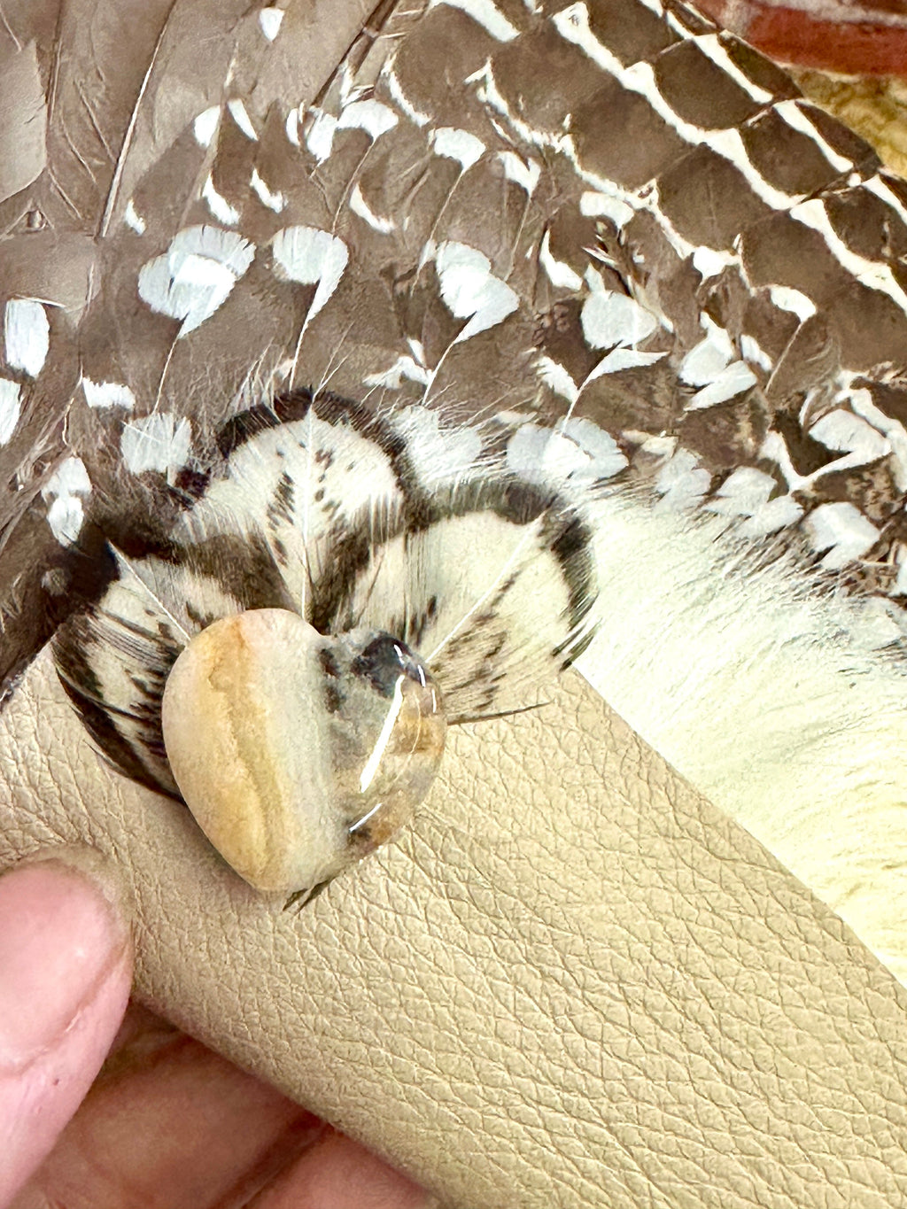 Foresight, Grouse Medicine Fan