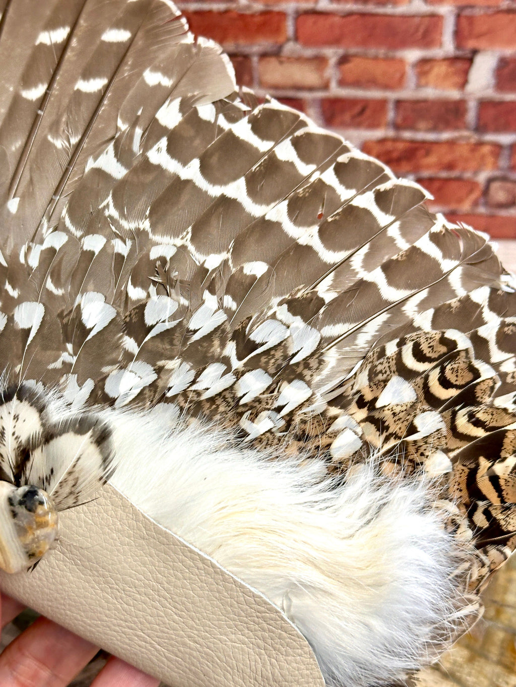 Foresight, Grouse Medicine Fan