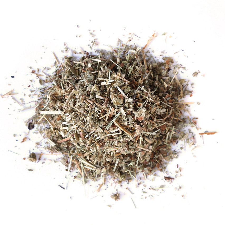 Dry agrimony leaves on a white background