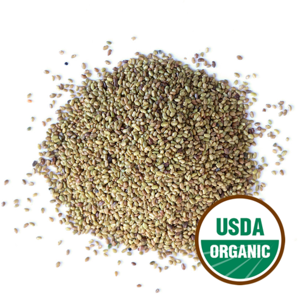 Alfalfa Sprouting Seeds, Organic