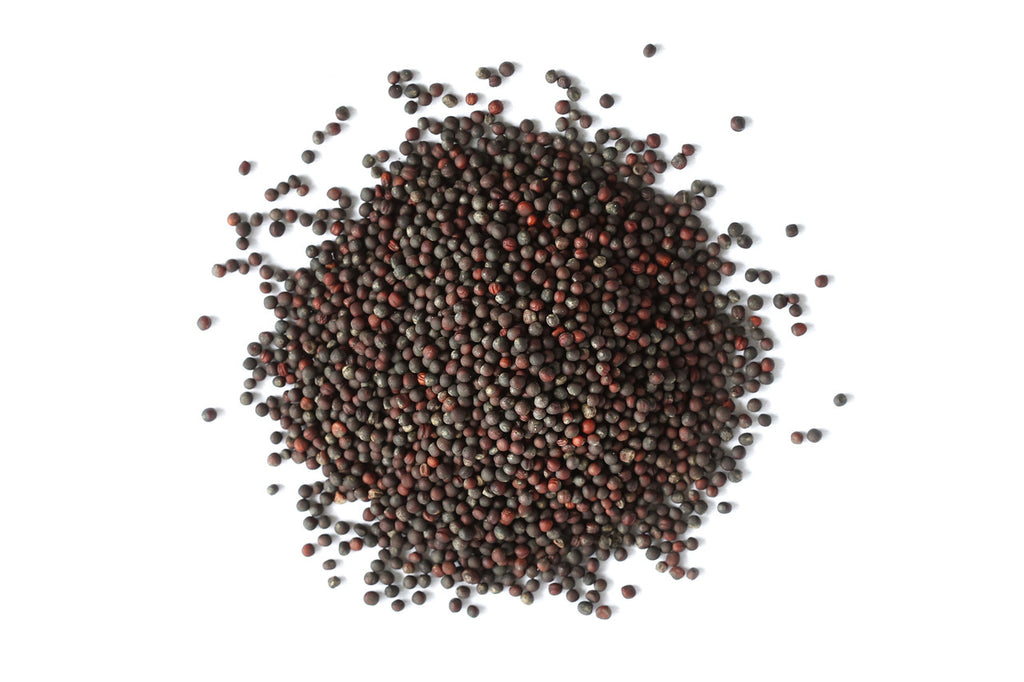 Broccoli Sprouting Seeds, Organic