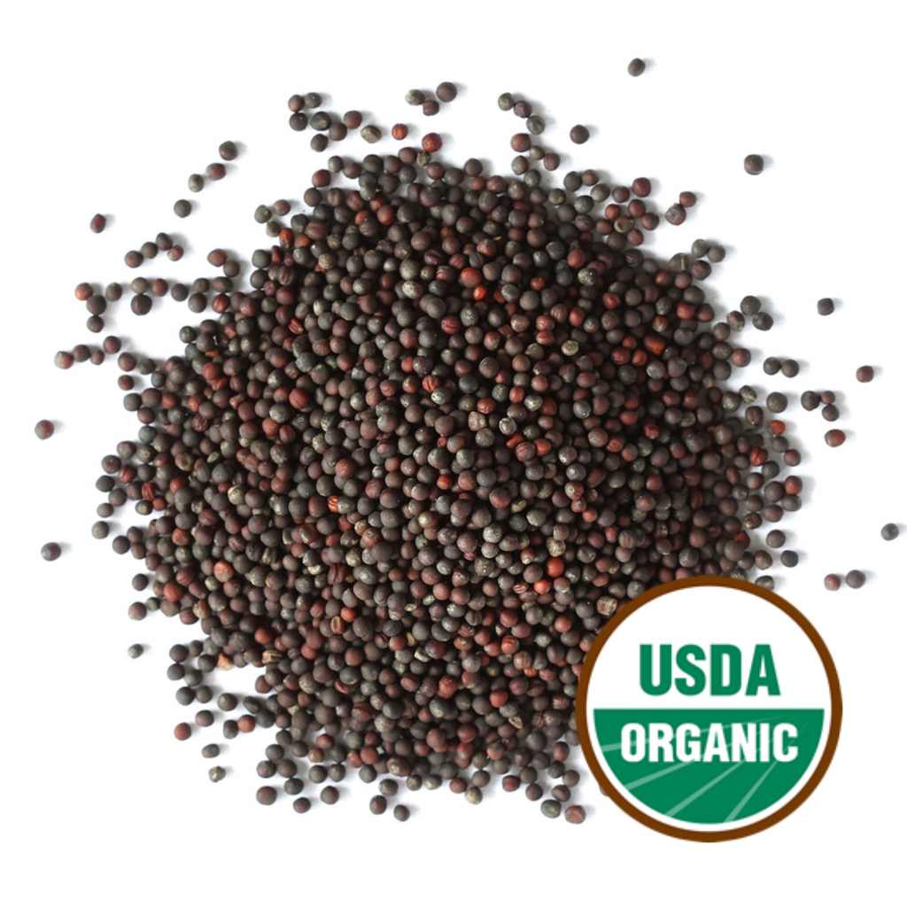 Broccoli Sprouting Seeds, Organic