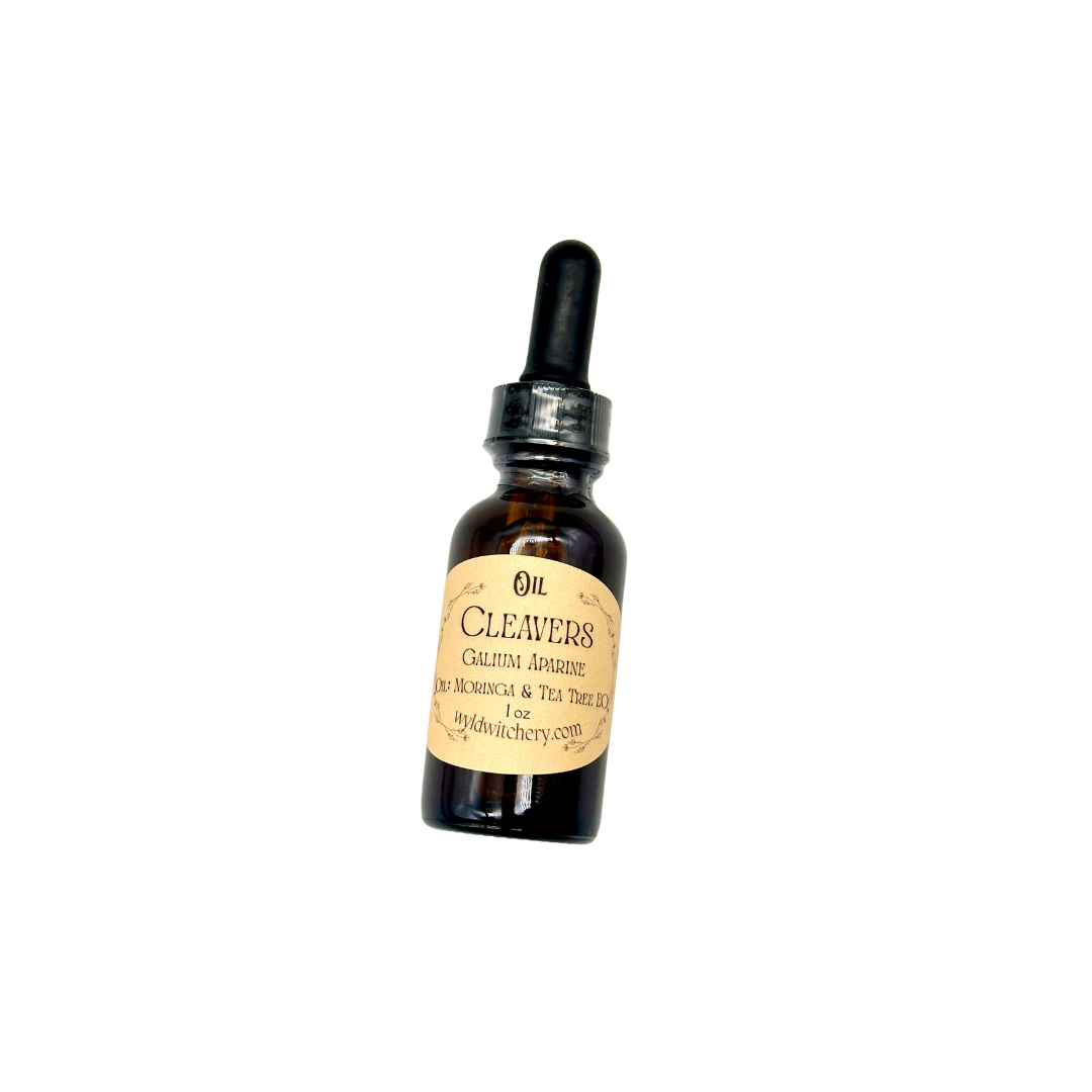 Cleavers Oil, Infused
