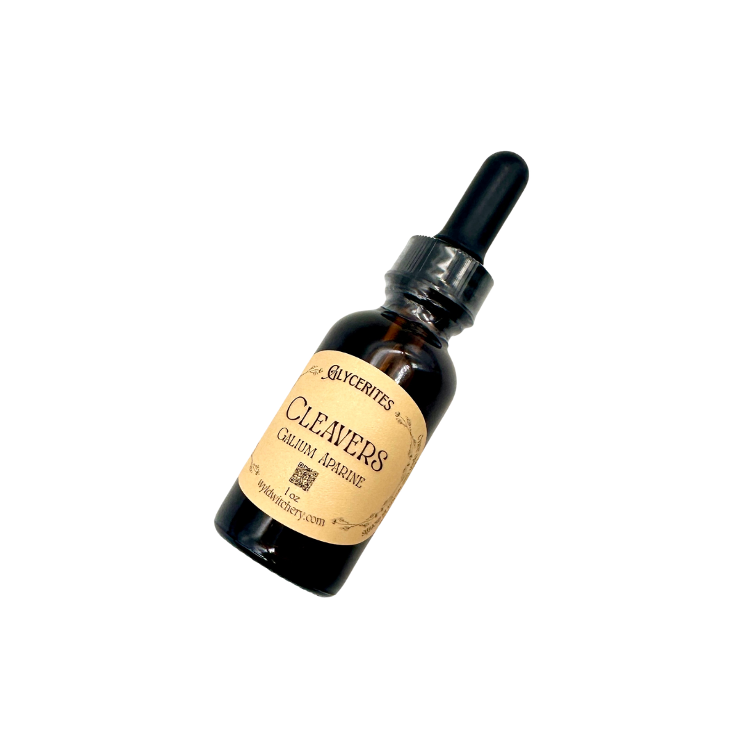 Cleavers Glycerite