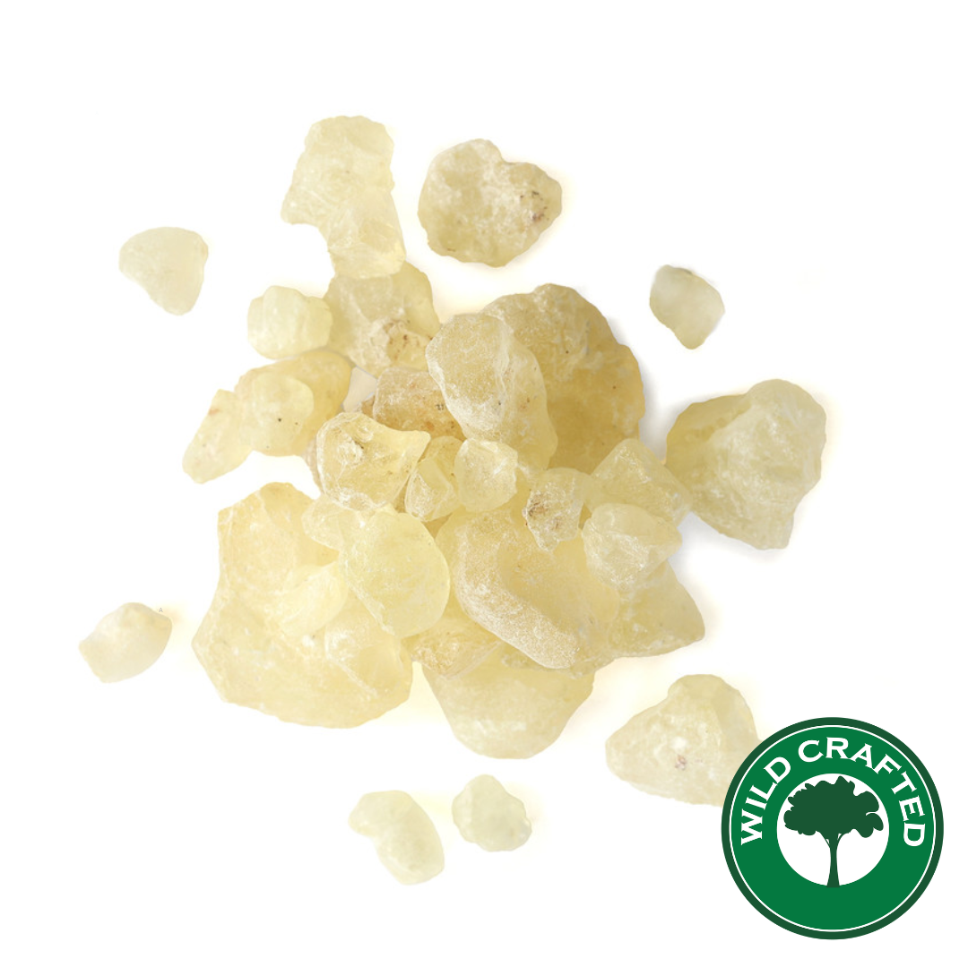 Copal Oro (Wild Crafted)