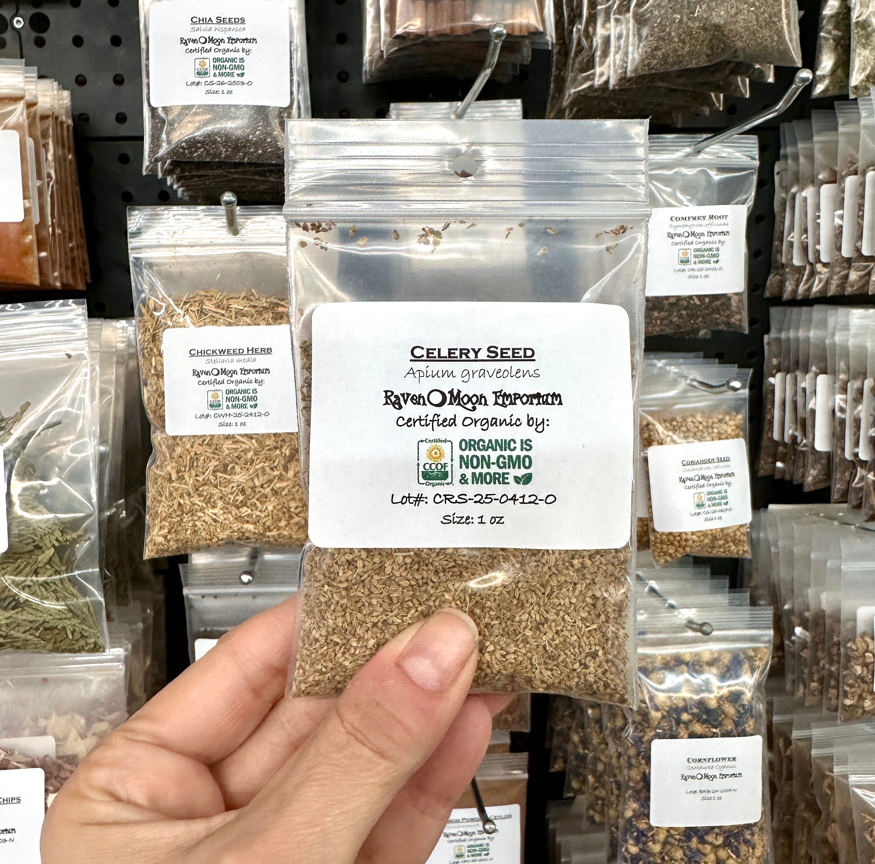 Celery Seed, Whole (Organic)