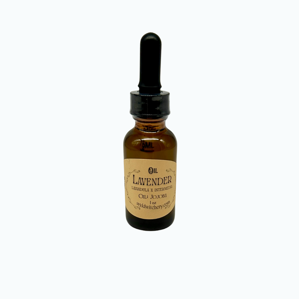 Lavender Oil, Infused