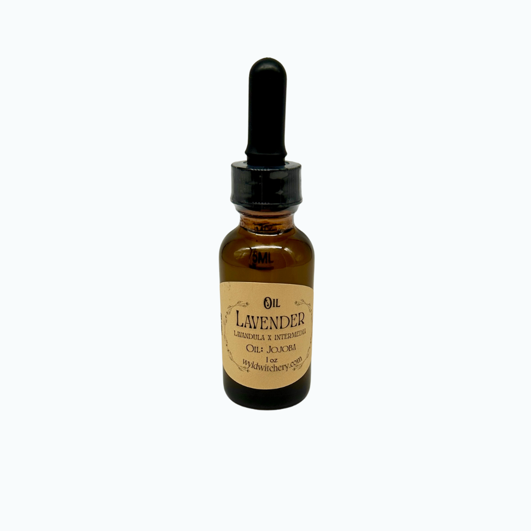 Lavender Oil, Infused