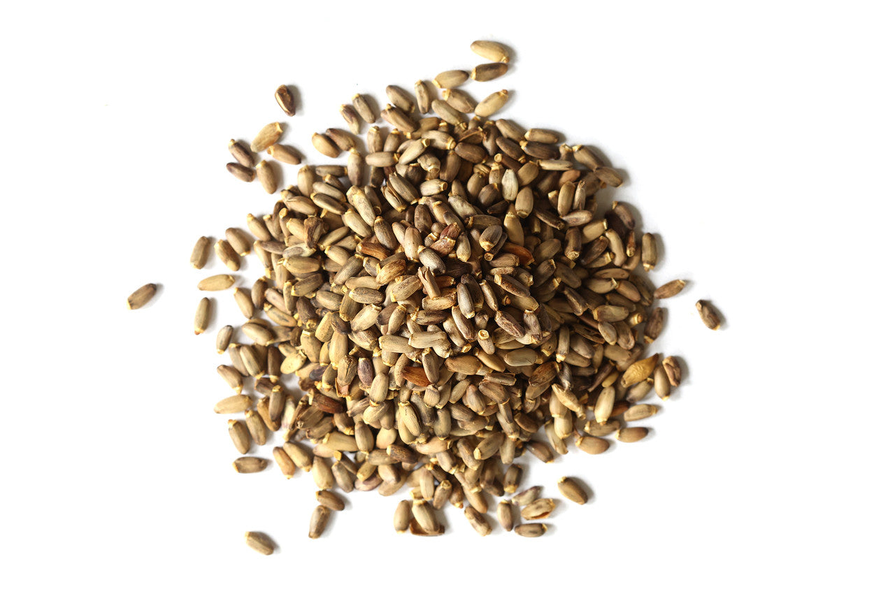 Milk Thistle Seed, Whole (Organic)