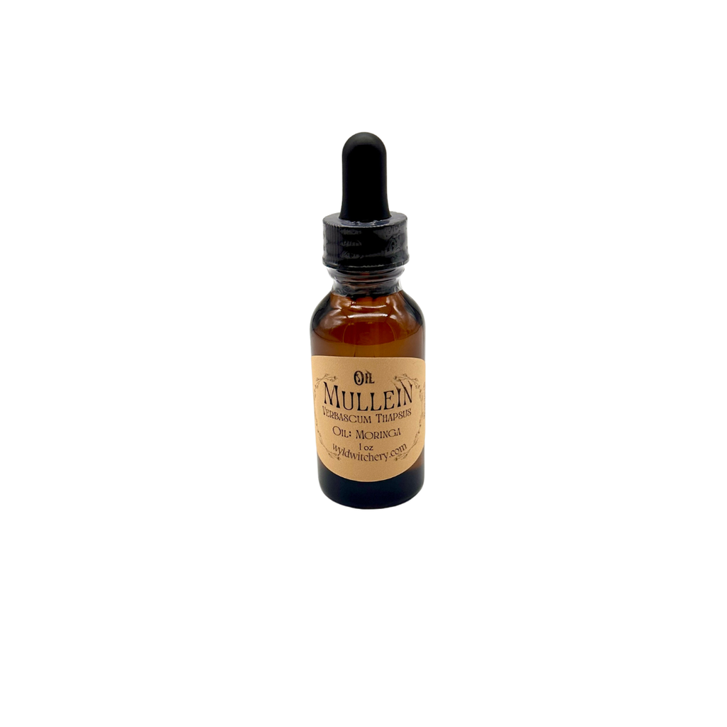 Mullein Oil, Infused