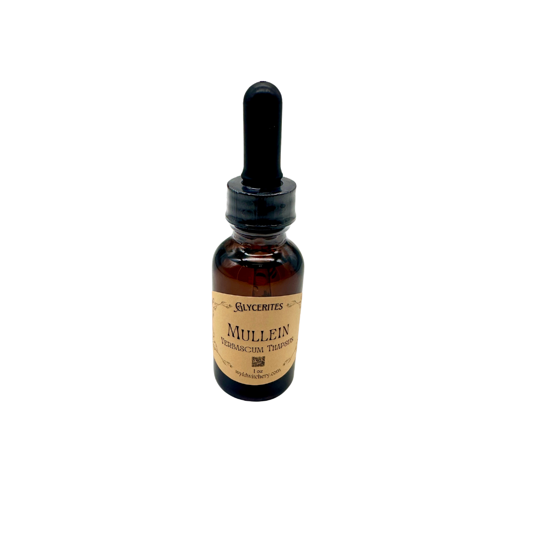 Mullein Glycerite