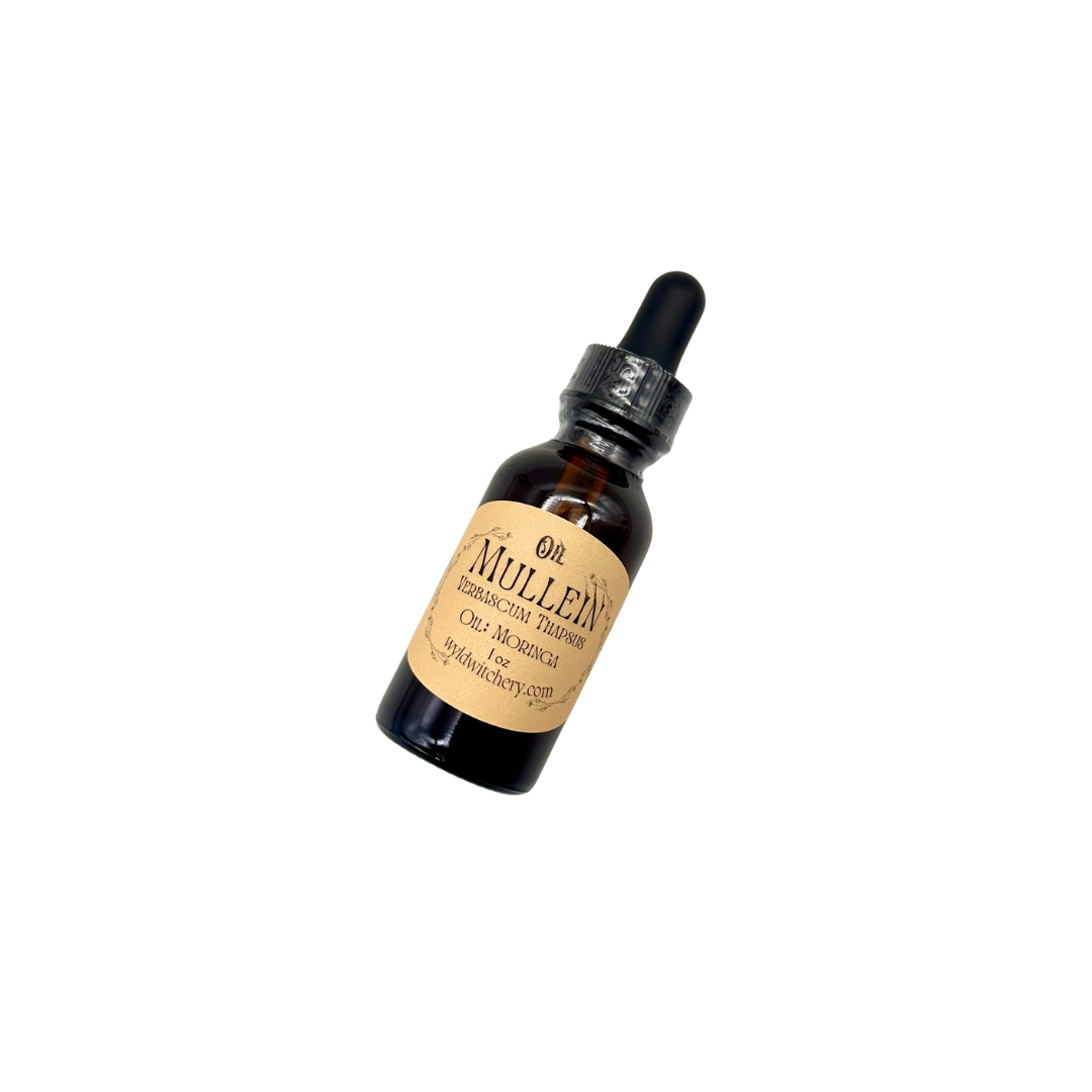 Mullein Oil, Infused
