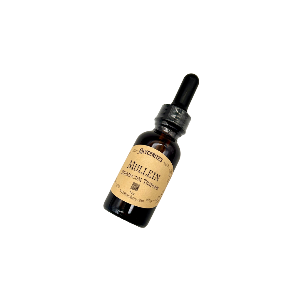 Mullein Glycerite