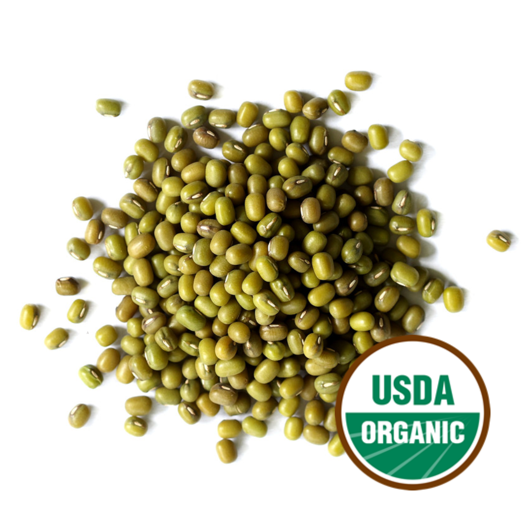 Mung Bean Sprouting Seeds, Organic