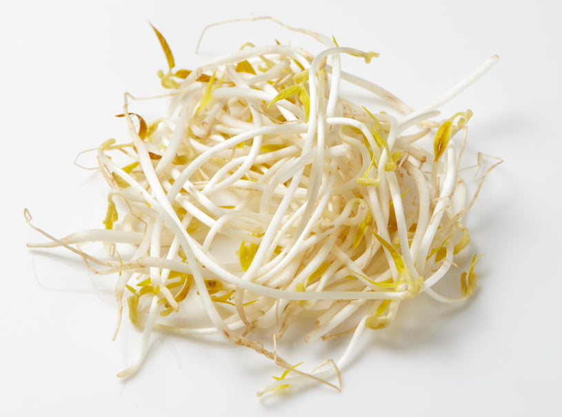 Mung Bean Sprouting Seeds, Organic