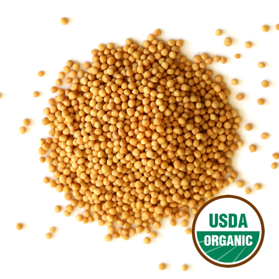 Mustard Seed, Yellow (Organic)