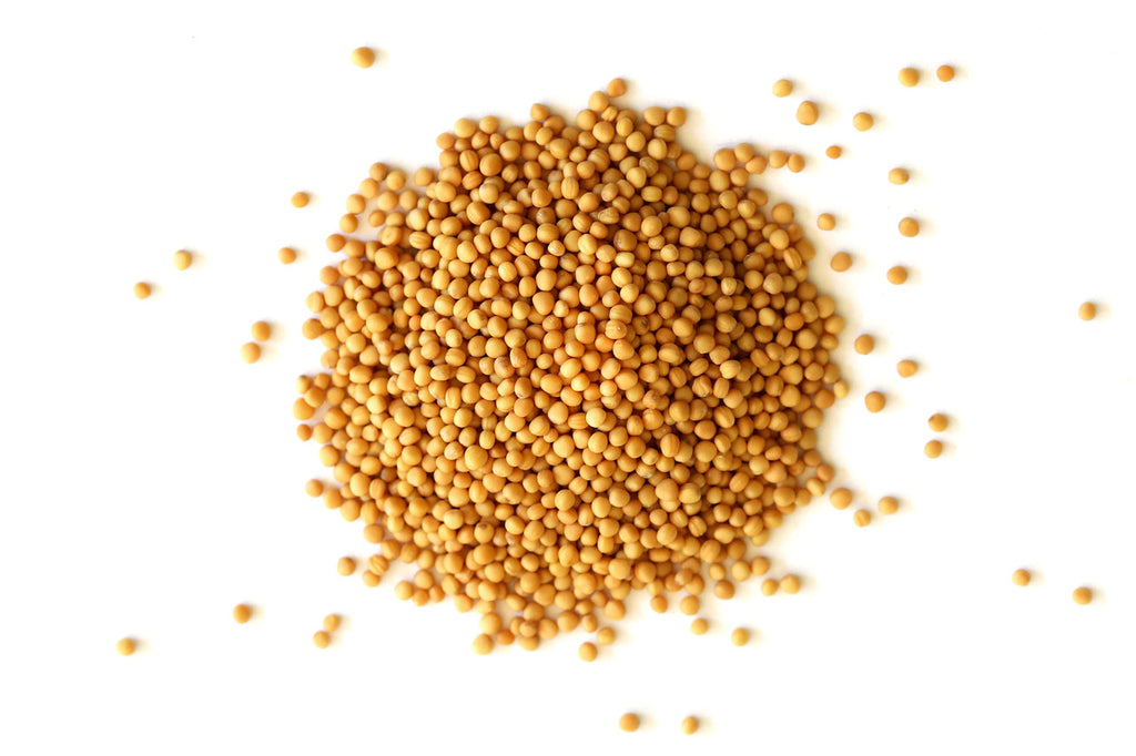 Mustard Seed, Yellow (Organic)
