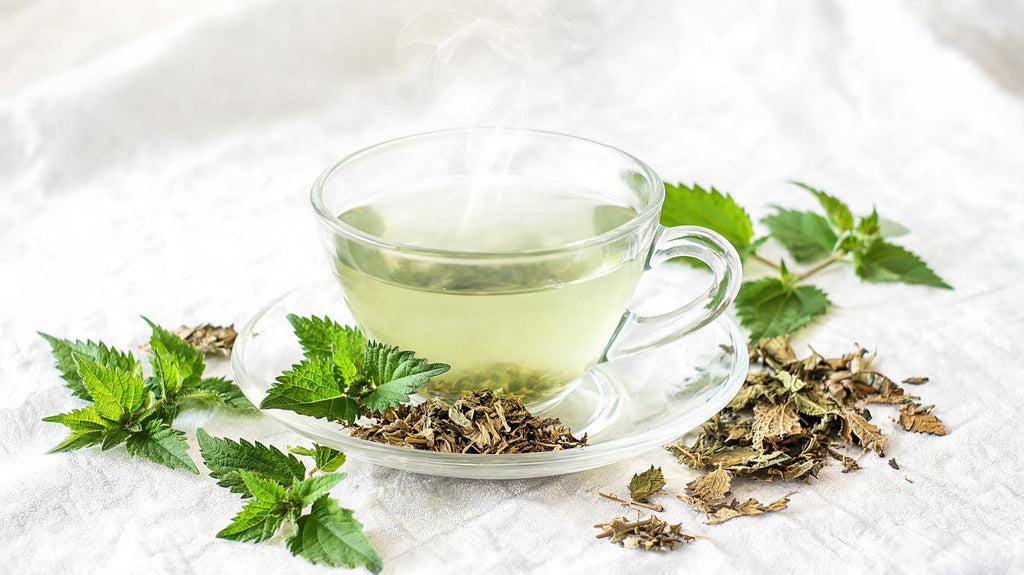 Nettle Leaf, Tea Bags (Organic)