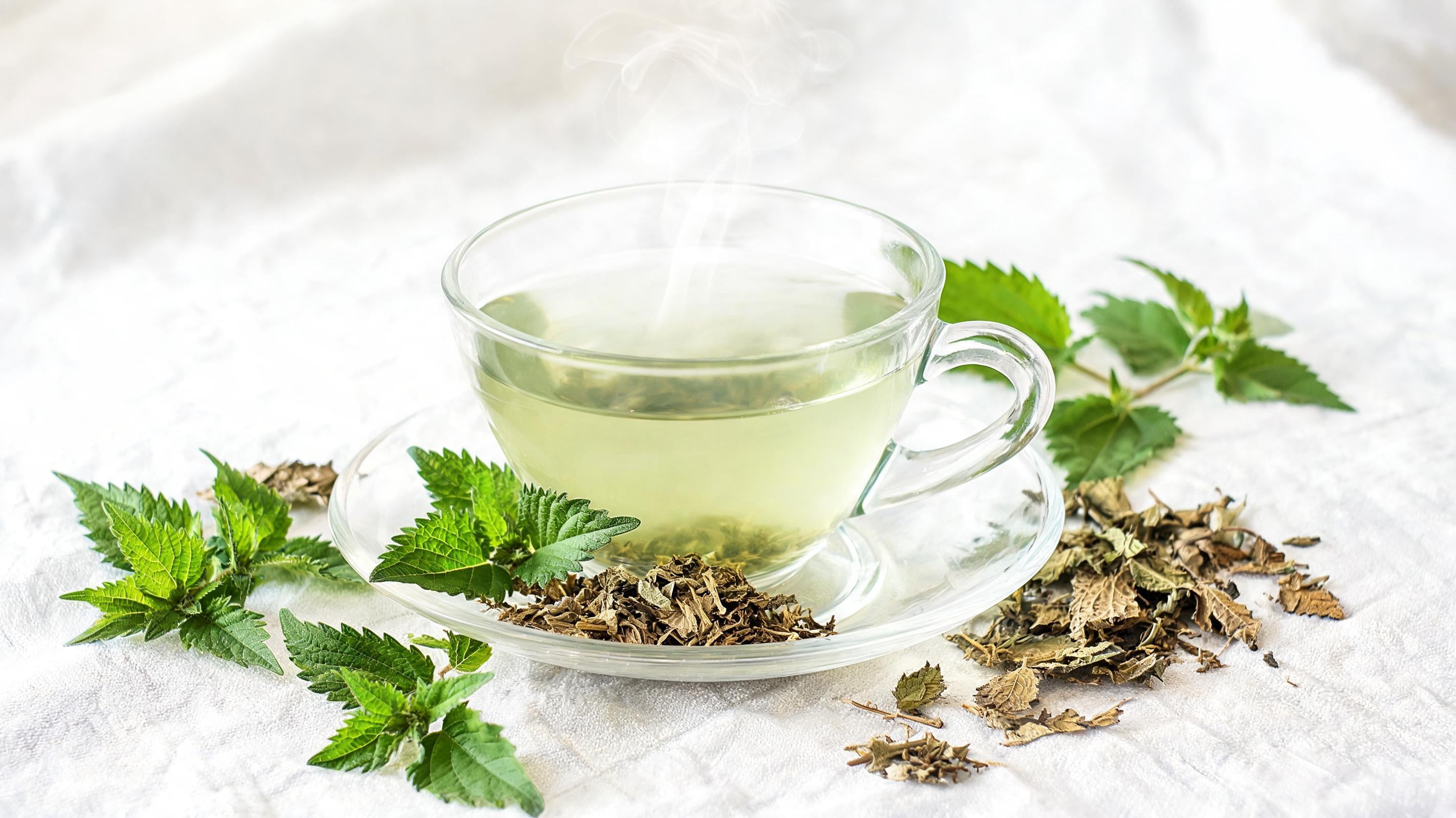 Nettle Leaf, Tea Bags (Organic)