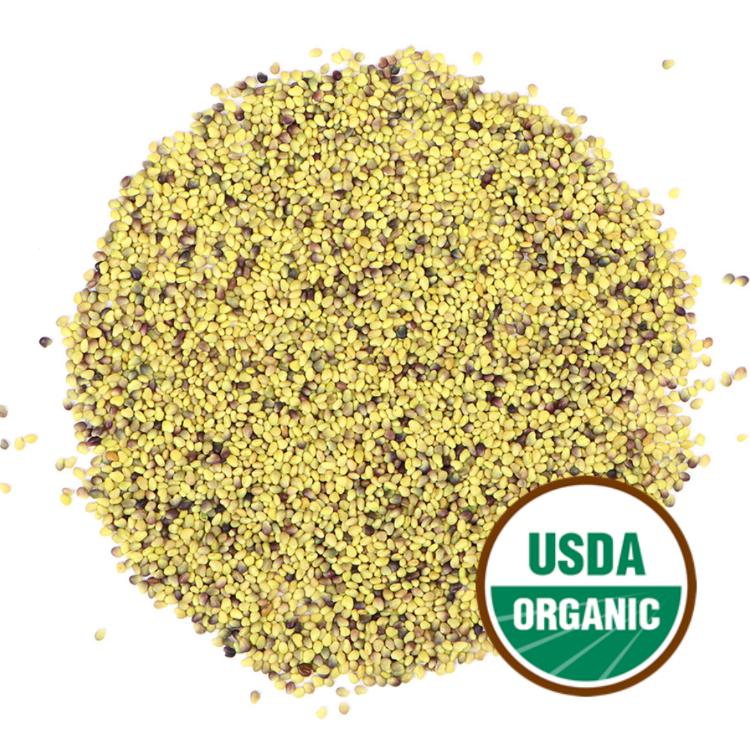 Red Clover Sprouting Seeds, Organic