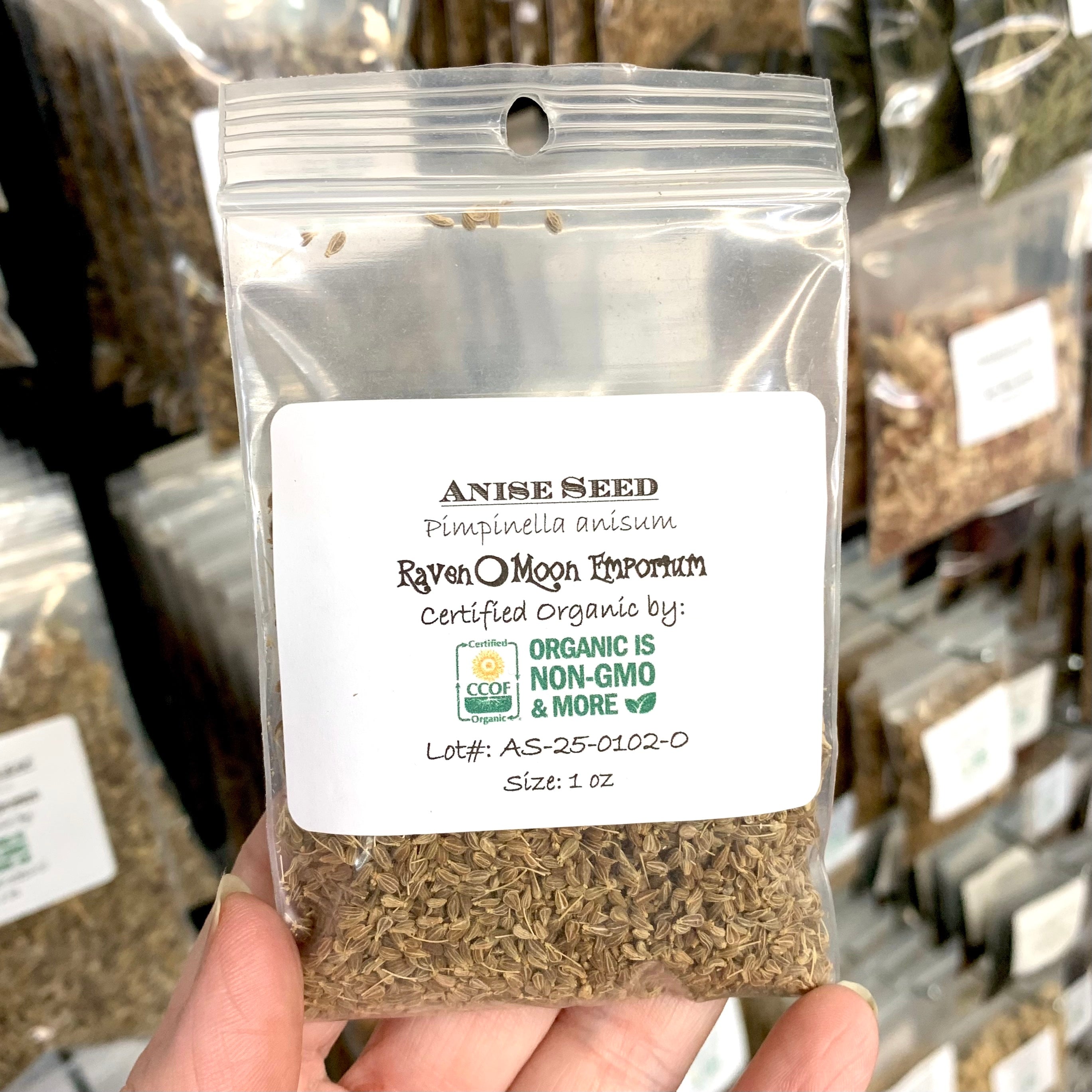 Hand holding a clear zip bag package of dried anise seed. The bag is labeled with the Raven Moon Emporium logo.